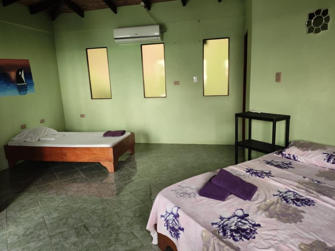 Ballena Paraiso Lodge ウビタ エクステリア 写真